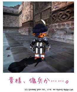 貴様、傭兵か……。